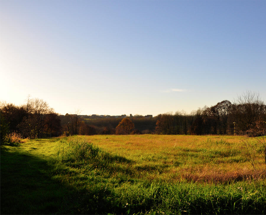 autumn meadow