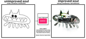 introducing the soul improver!
