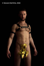 Ross with yellow orchids - By Giovanni Dall'Orto