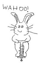 Pogo bunny