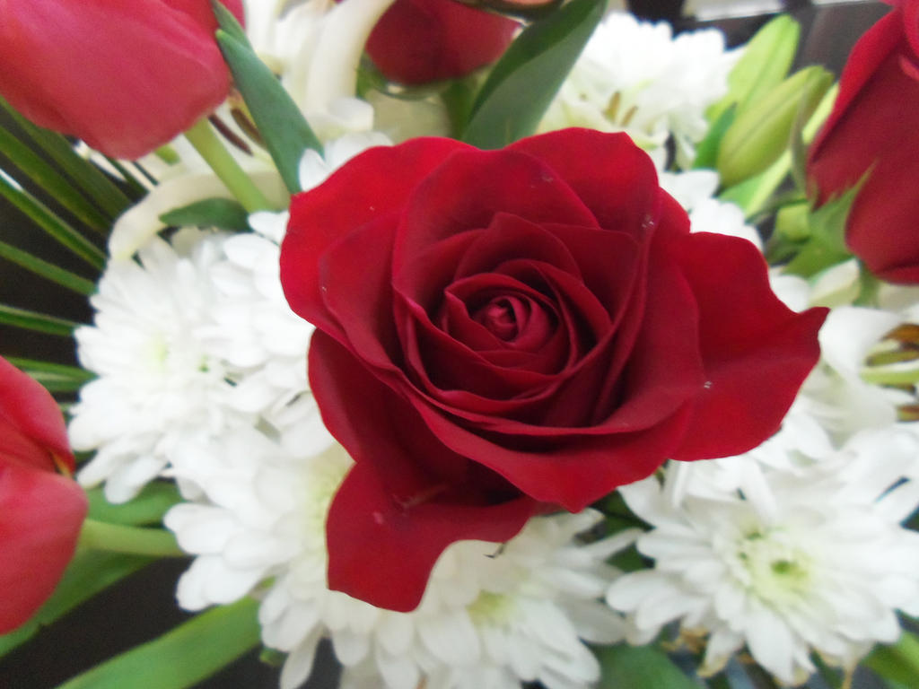 v-day flowers3 by Tamashii20 on DeviantArt