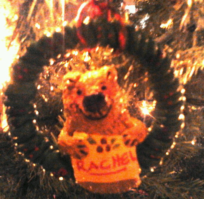 2011 Christmas Ornaments, my ornament.