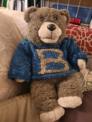 Project Bingo Bear: Harry Potter Sweater