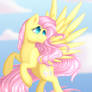 Up in the Clouds-Fluttershy