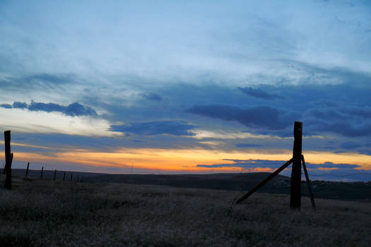 Pasture sunset
