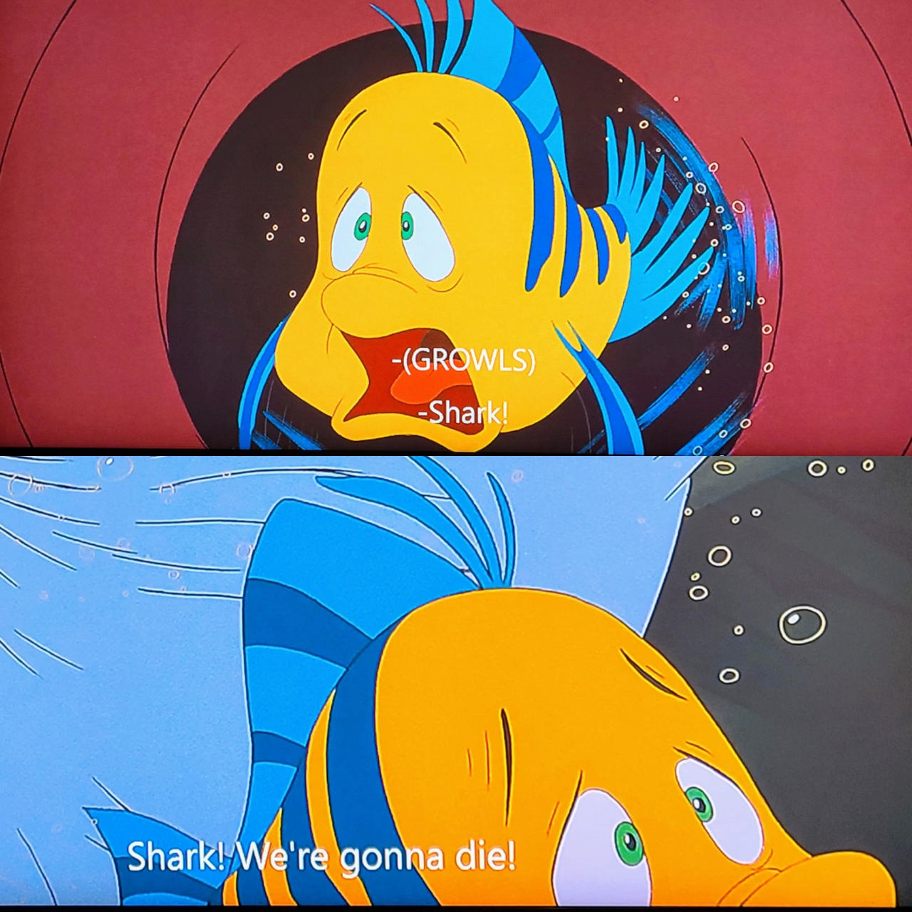 Floop Scared Flounder's horrified faces in The Little Mermaid by Ian2024 on DeviantArt