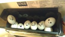 The Egg Gang