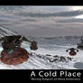 A Cold Place