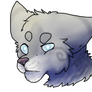 - WCC : #14 Jayfeather