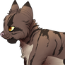 - WCC : #21 Brambleclaw