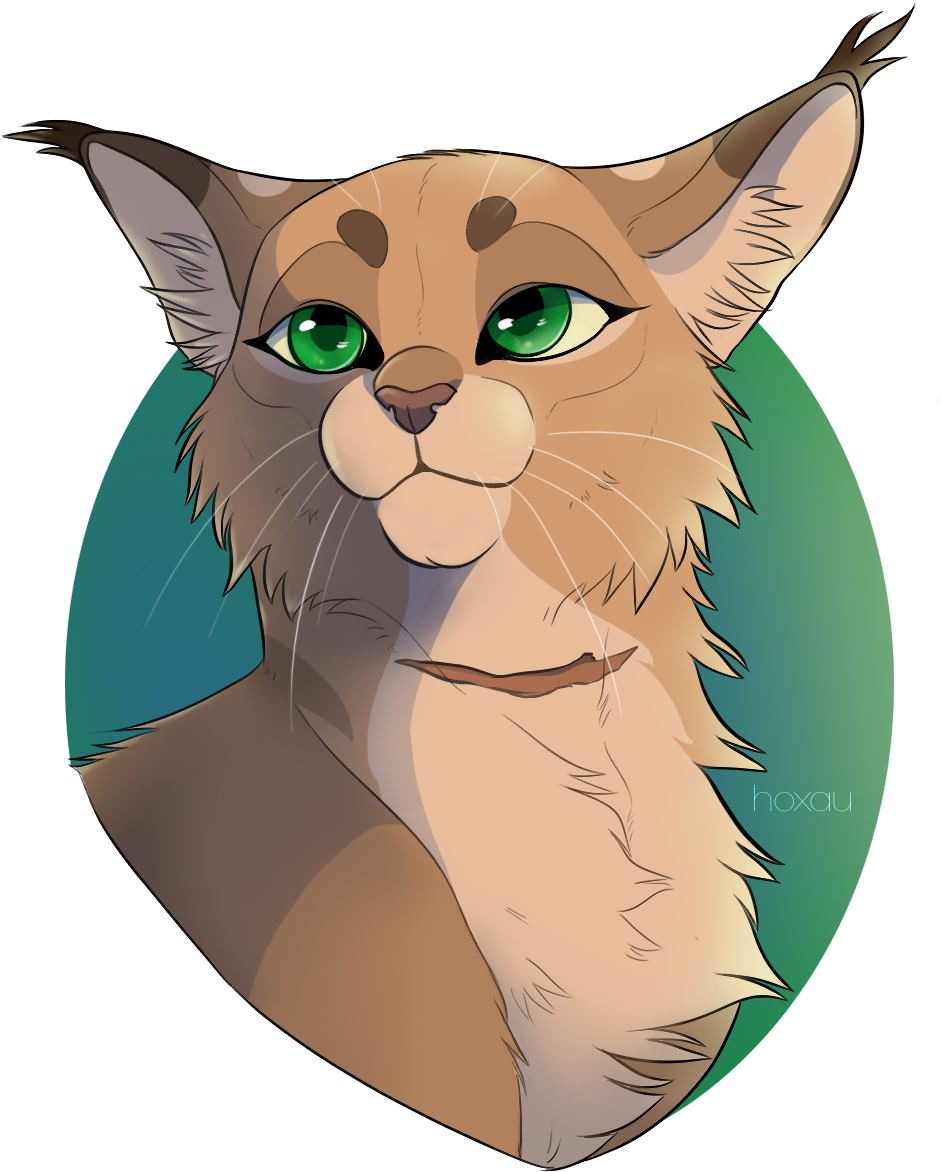 Purespiritflower Commission by Hoxau on DeviantArt