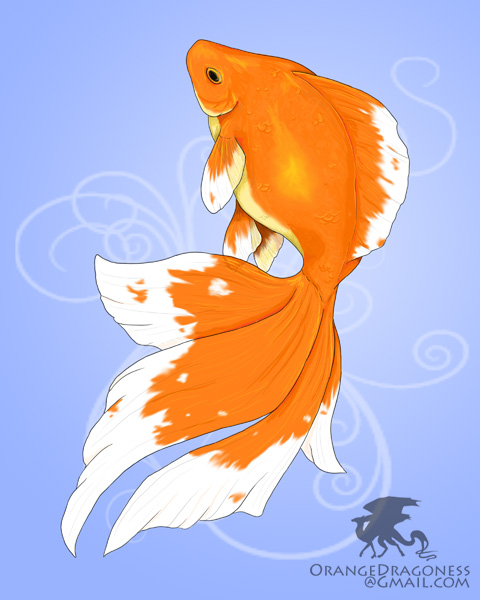 2008_8_Goldfish