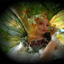 Sibylle Fairy 3