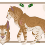DT: A Ginger Kitter