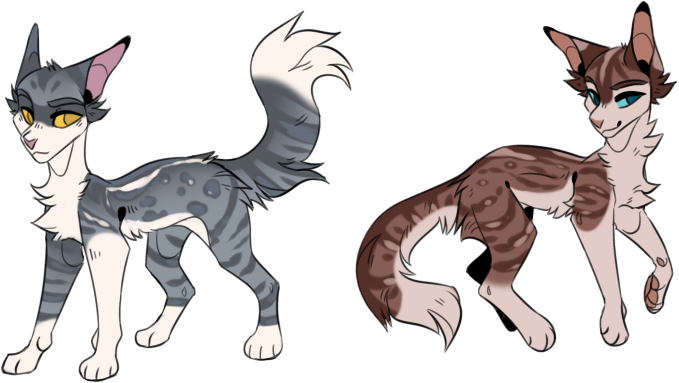 ASC: Sleethowl's Kits Tryouts