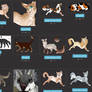 ~~Toyhouse Sale | OPEN ALWAYS ~~