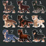 Random $5 Cat Adopts