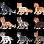 More Kitty Adopts