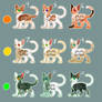 Rainbow Practice Adopts