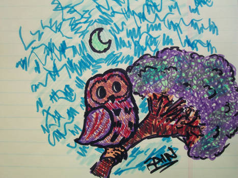 Night Owl