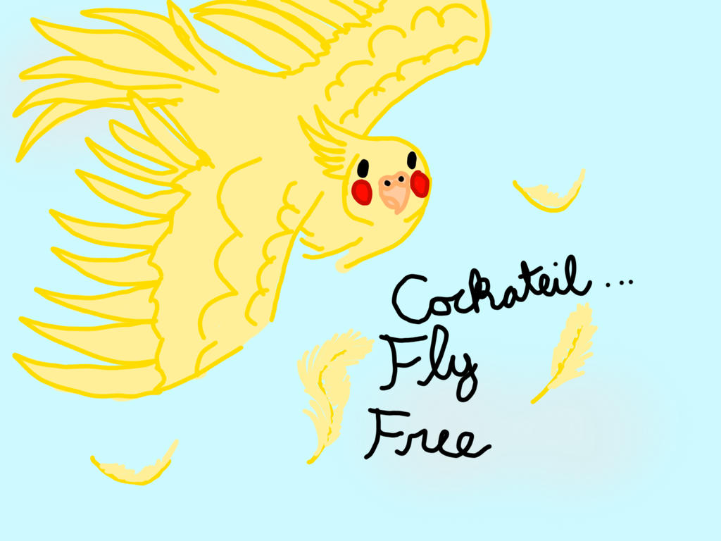Cocketeil Flying Cockatiel Fly! by DragonCraft999 on DeviantArt