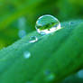 Tiny Glass Boulders