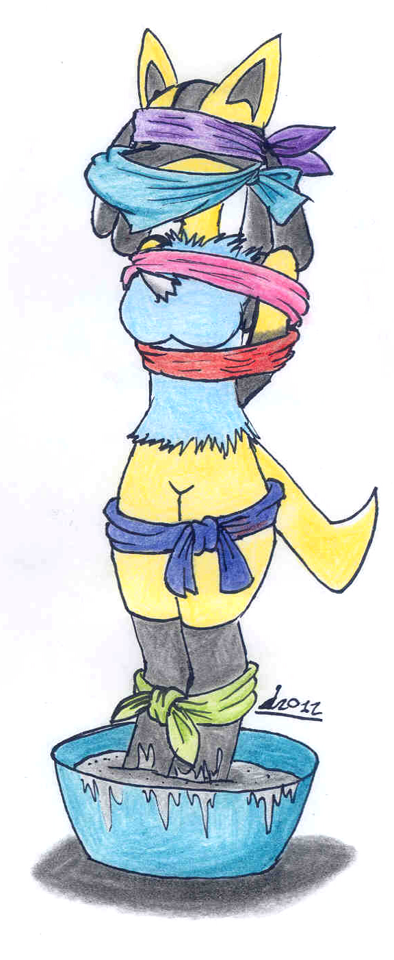 AT: Female Lucario and lots of cloths