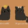 Stages of cat emotions