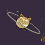 Saturn Cat