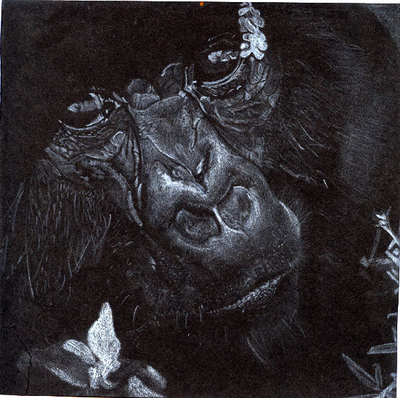 Gorilla