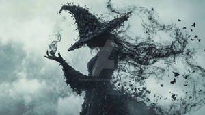 The Weaver of Shadows