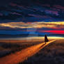 The Road That Waited