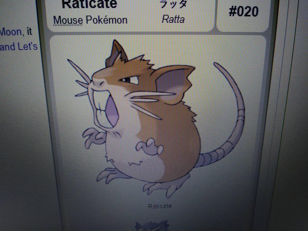 Pokemon: Raticate by Supermike92 on DeviantArt
