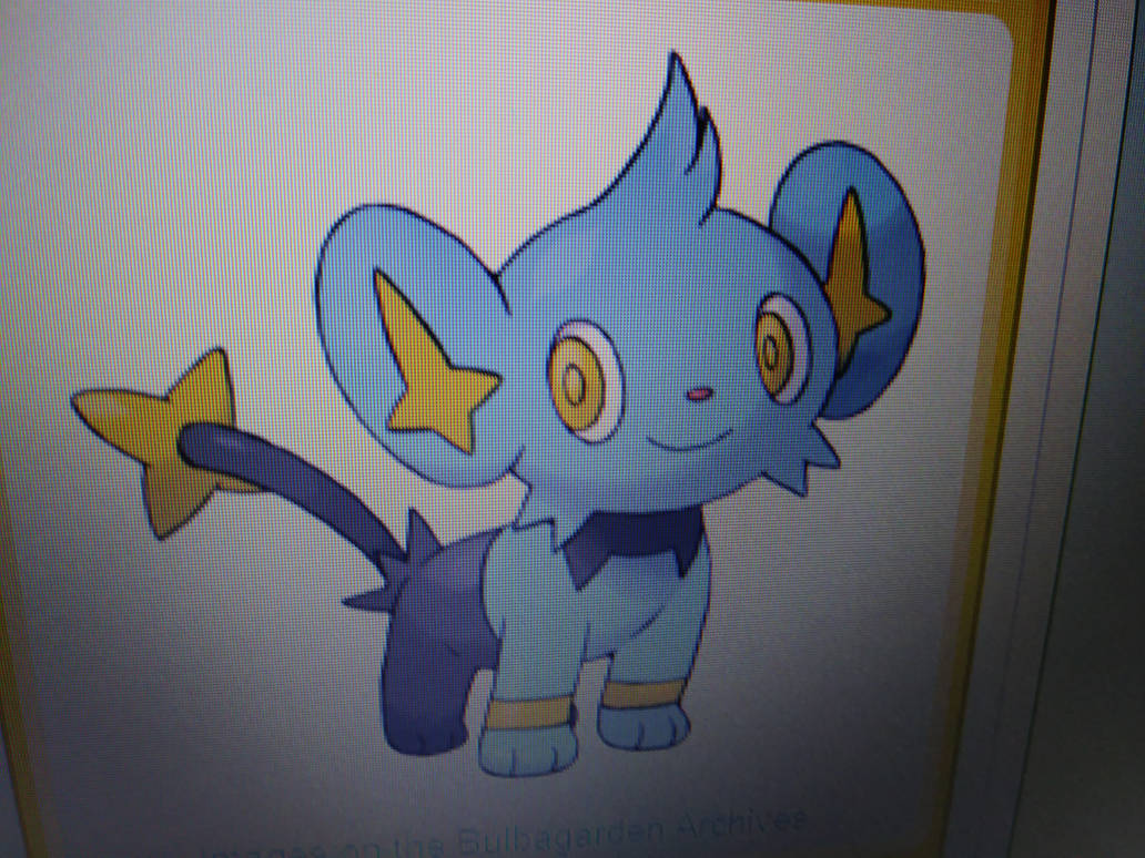 Shix Pokemon: Shinx by Supermike92 on DeviantArt