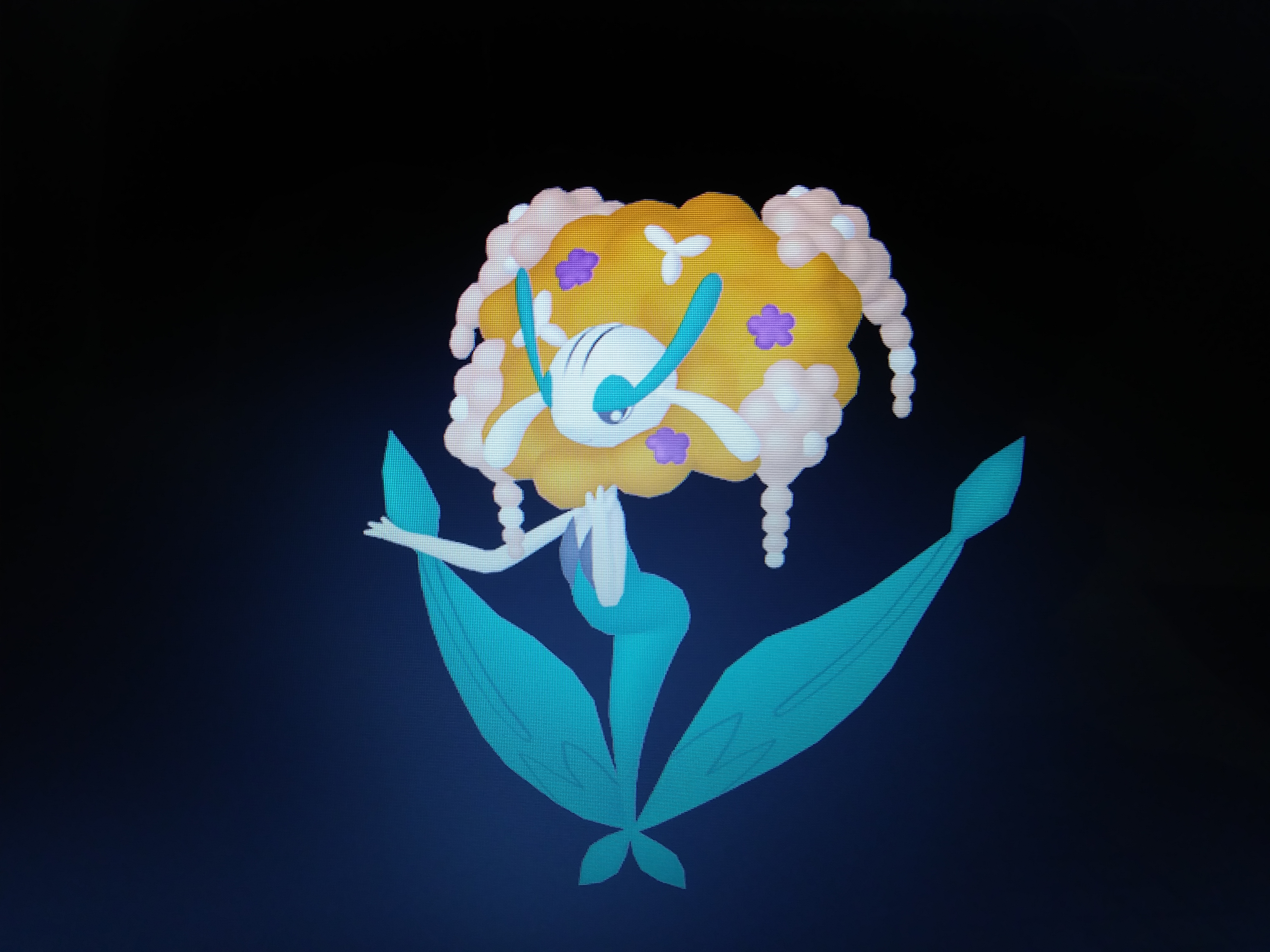 Florges Reference Florges Orange