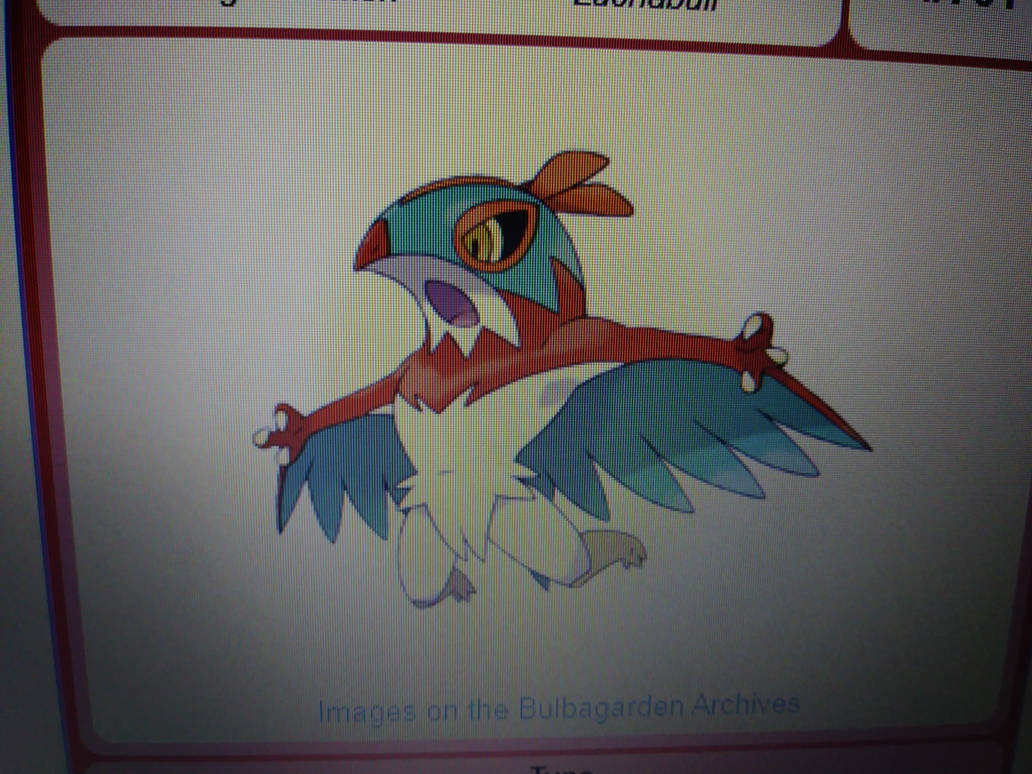 Pokemon: Hawlucha by Supermike92 on DeviantArt