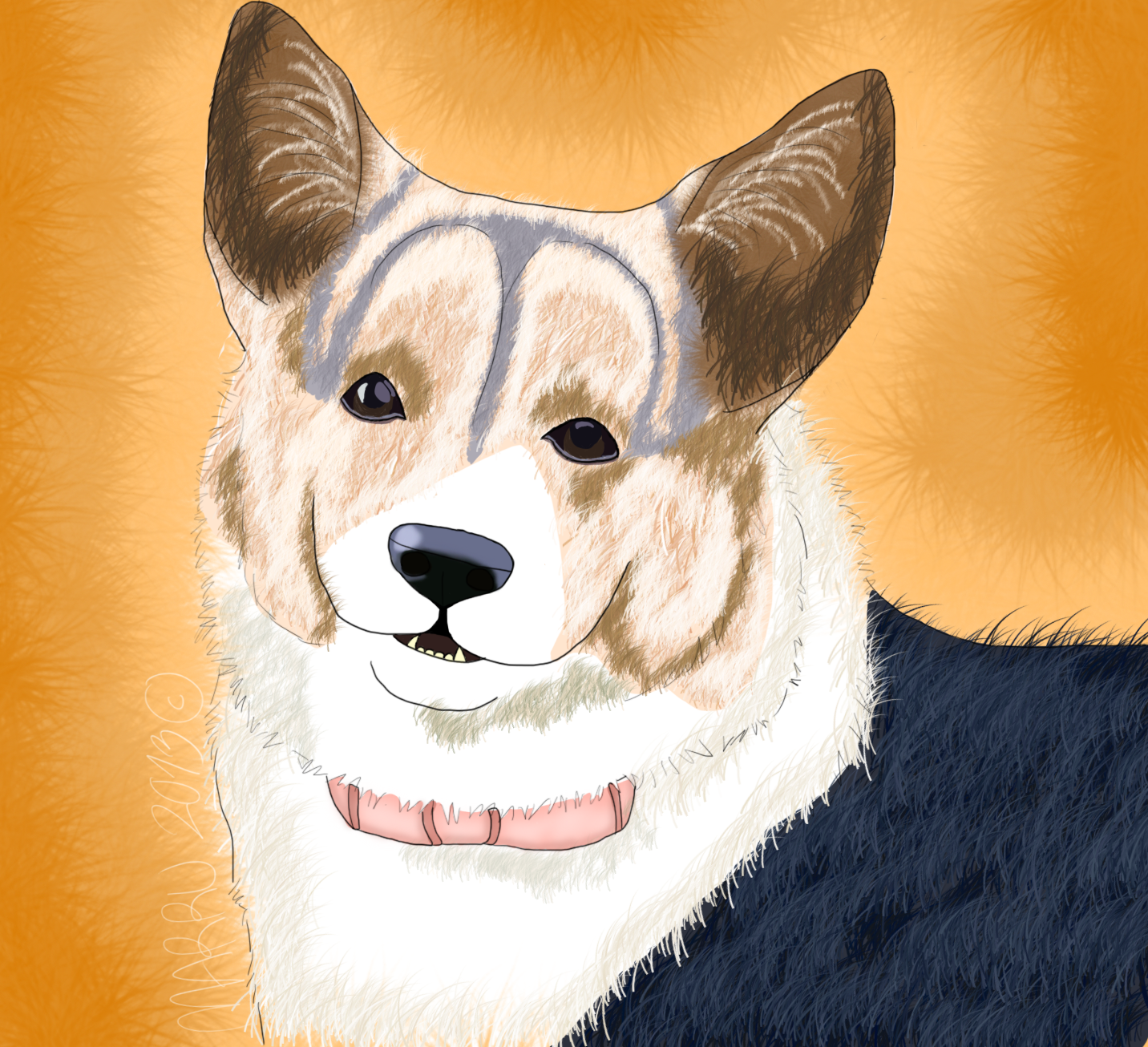 Welsh Corgi Pembroke