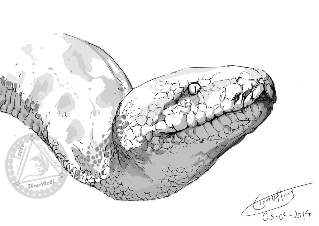 Random Animal Sketch - Python by dino-wolf on DeviantArt