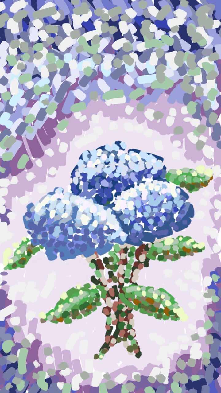 Hydrangea study 2