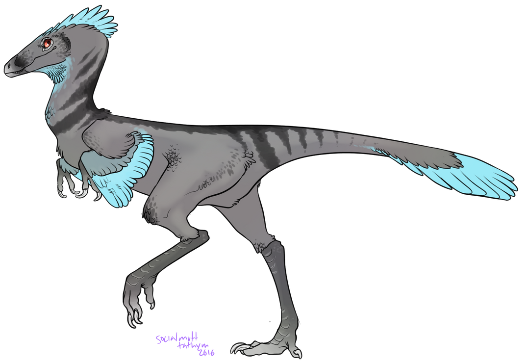 Flynt The Raptor Foxtrot The Raptor by tympaniticus on DeviantArt