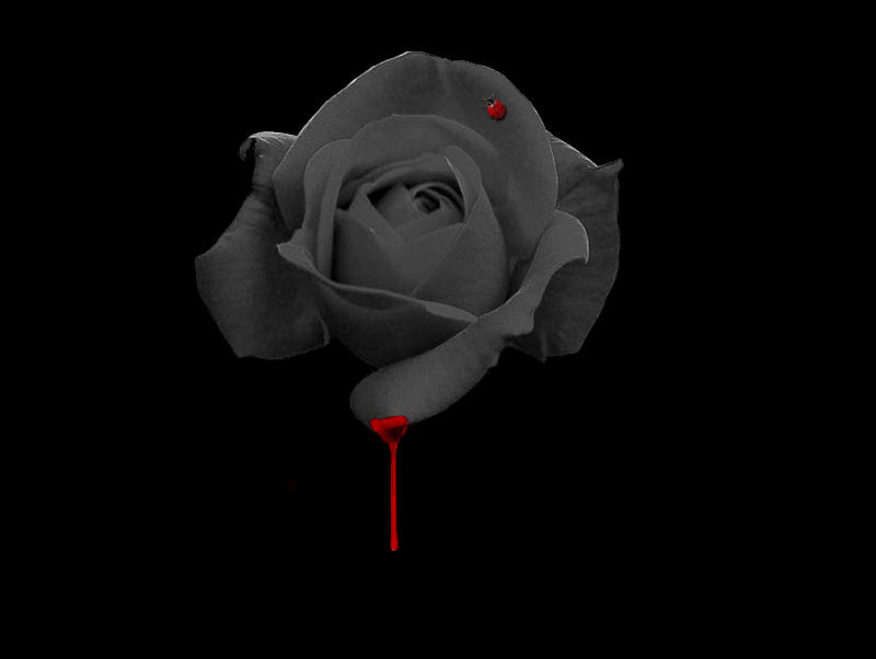 No Love No Pain By Plecks On Deviantart