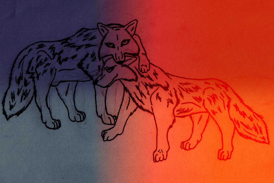 Two Wolves Scetch Two Wolves by xXBlackwolfangelXx on DeviantArt