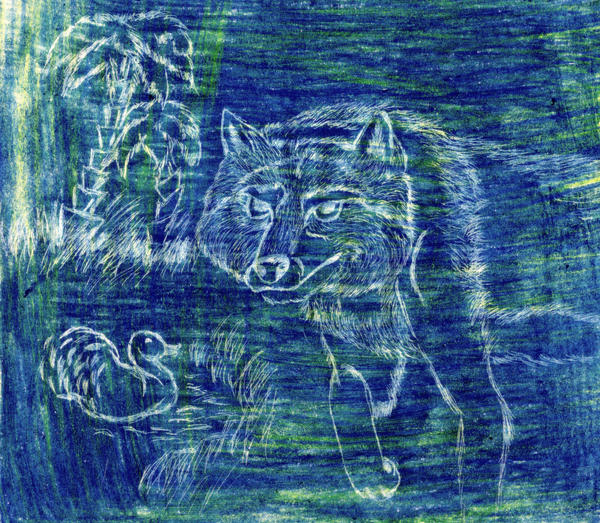dark blue wolf by xXBlackwolfangelXx on DeviantArt