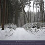 Wintertime 17 - Path