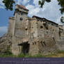 Burg Liechtenstein 4