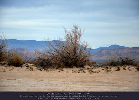 Lake Mead 6