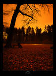 Contemplation by boli