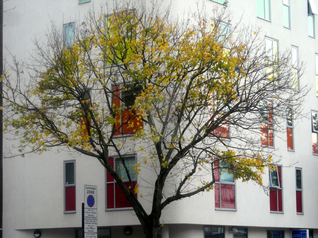 Fab Colors by LUSHMONTANAS on DeviantArt