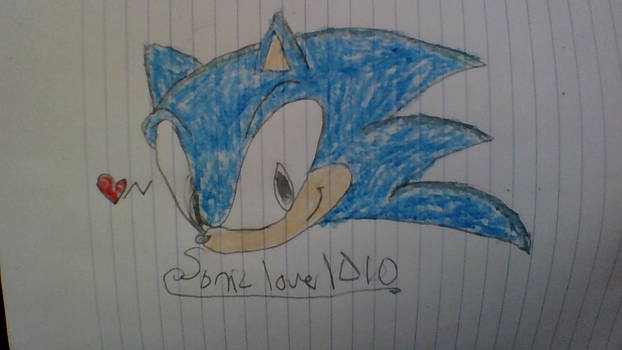 Soniclove1010