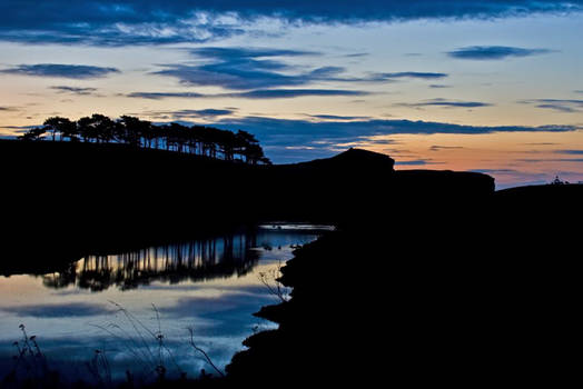 Otter Sunrise